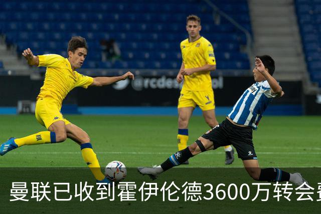 曼联已收到霍伊伦德3600万转会费，夏窗预算2.5亿！谢什科改穿9号致敬伊布